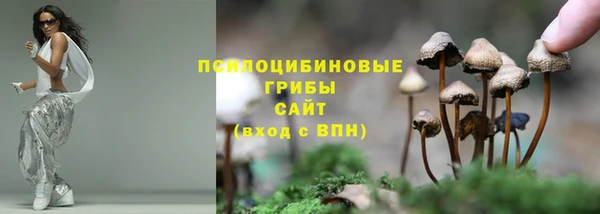кокаин колумбия Алексин